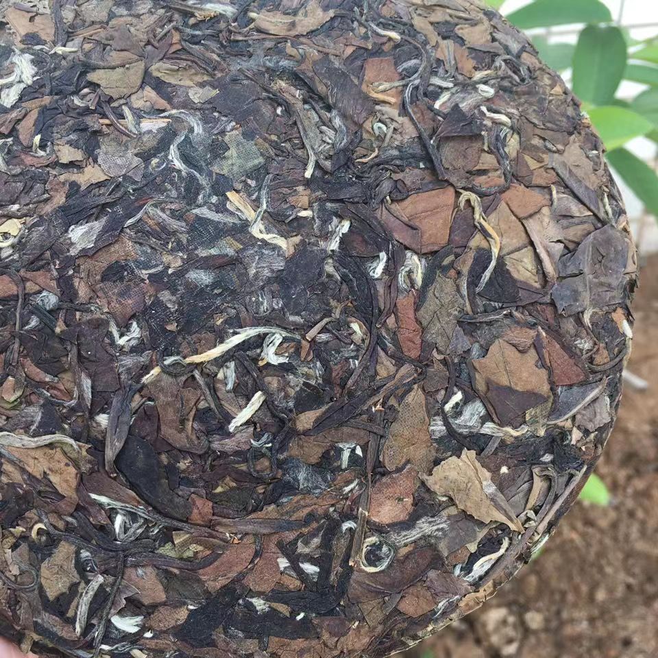 357g Fuding White Tea Cake Old Tree Natural White Tea Organic Gongmei White Tea