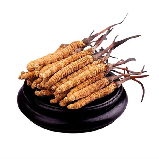10-15 Pieces Wild 5 Grams Cordyceps Sinensis From High Himalaya