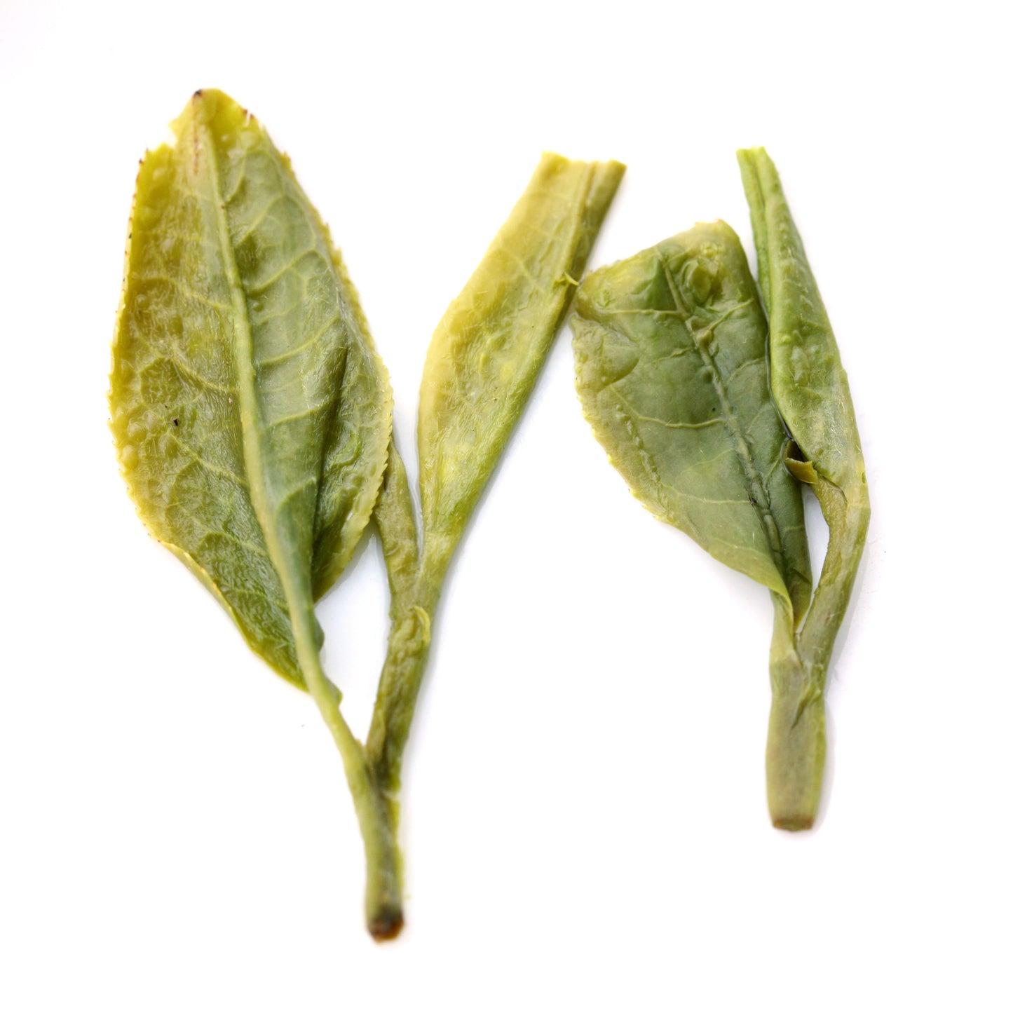 Supreme Xihu Longjing Dragon Well Spring Green Tea Green Tea Loose-
