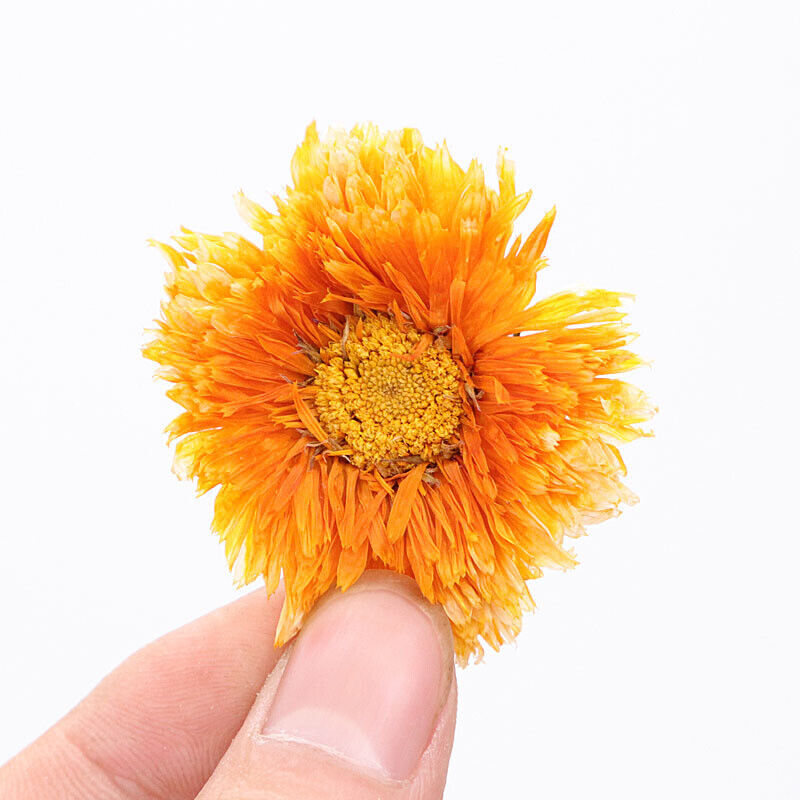 Chinese Marigold Tea Genuine Female Flower Herbal Tea Calendula Officinalis Tea