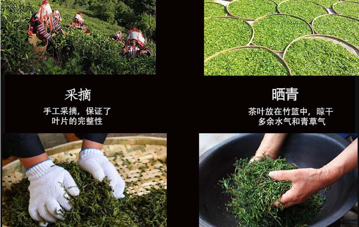 Yunnan Menghai Tea Puerh Tea Raw Tea Icelandic Ancient Tree Tea 250g Pu'er Tea