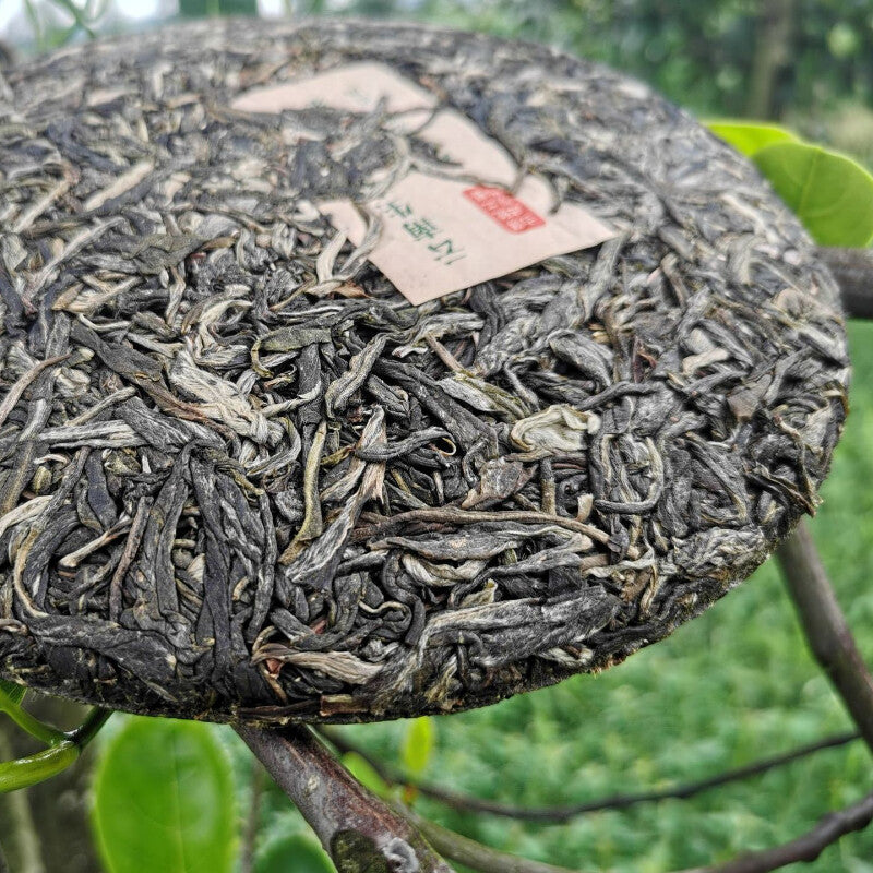 Natural Arbor Cha Pu'er Tea Organic Green Tea Cake Chinese Tea Health Care 357g