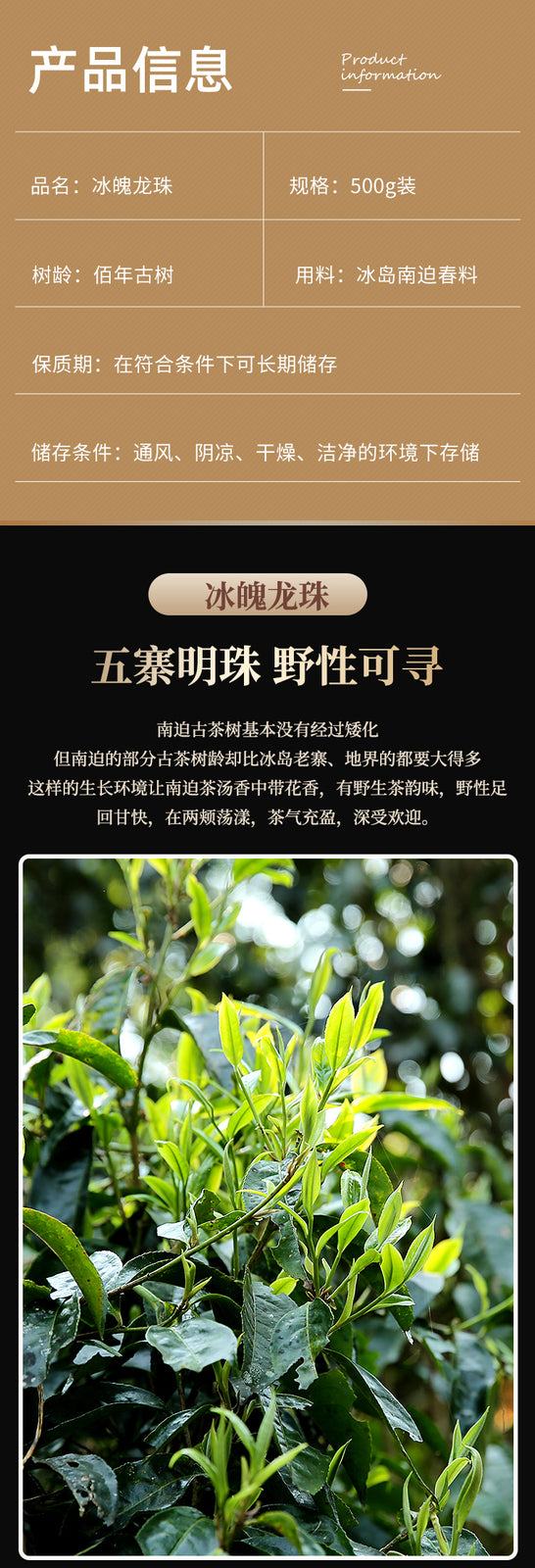 DR. PU'ER TEA Ice Soul Bing Dao NAN PO Dragon Ball Tea Pu-erh Tea Tuo 500g Raw