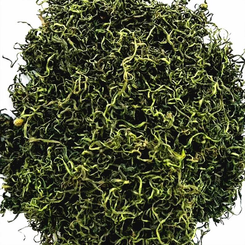 Dandelion Root Tea,Dandelion Root Buds Tea,Dandelion Buds Flower Tea,flower Tea