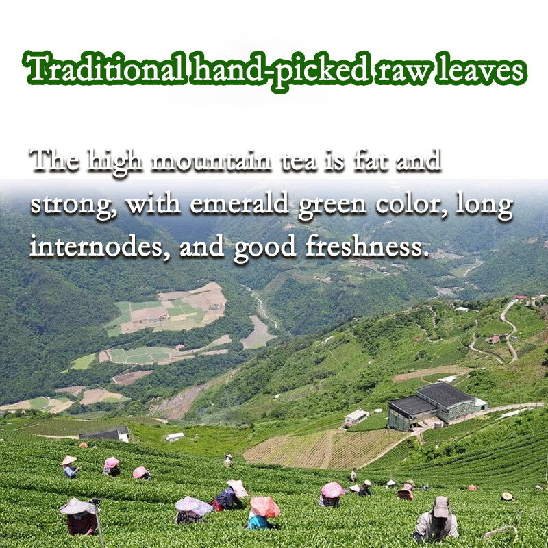 Taiwan Oolong Tea Alishan Milk Oolong Tea Jinxuan Granules Natural Oolong Tea