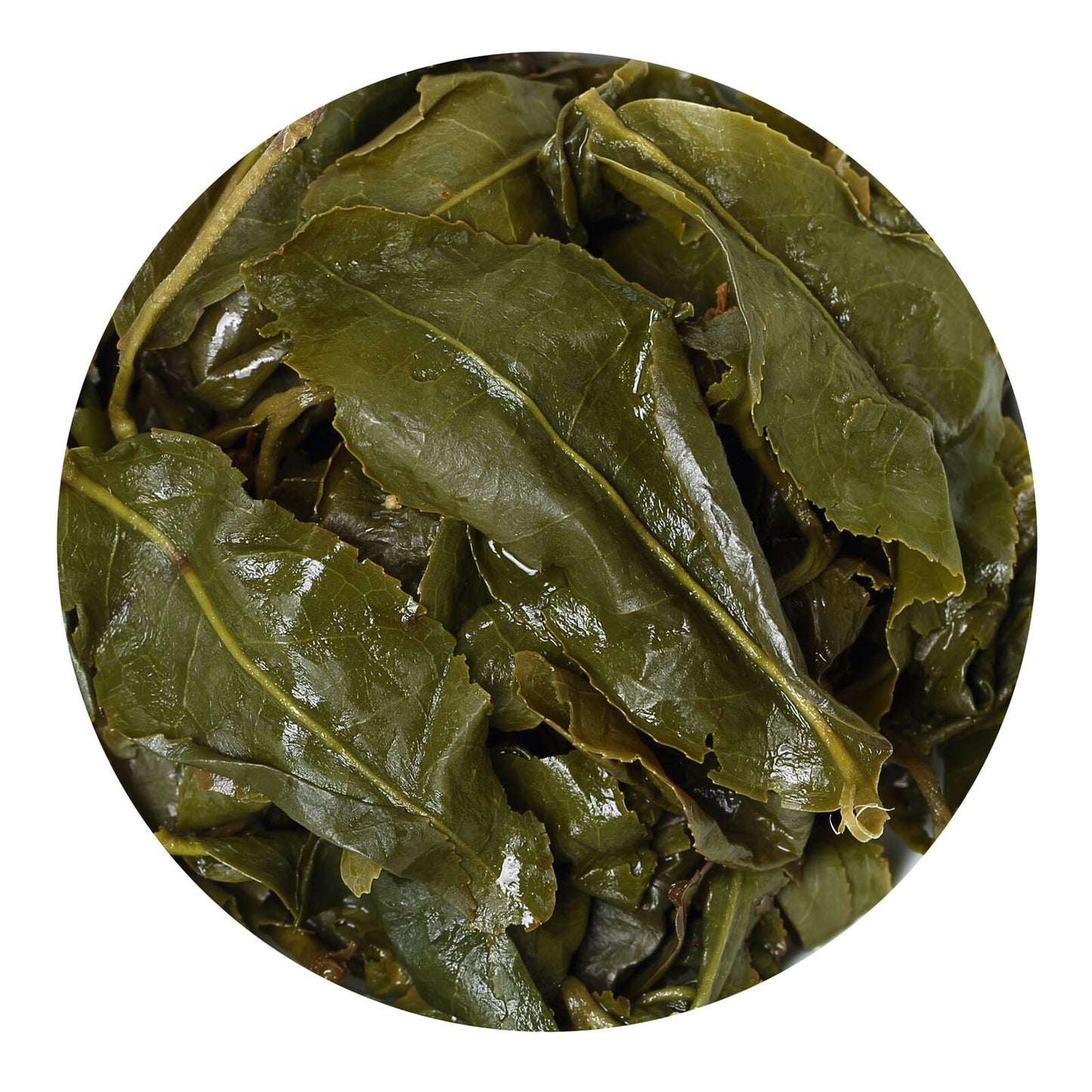 GOARTEA 60Pcs 8g/8.5oz Supreme Taiwan Milk Oolong Tea Milk Jinxuan Green Tea-