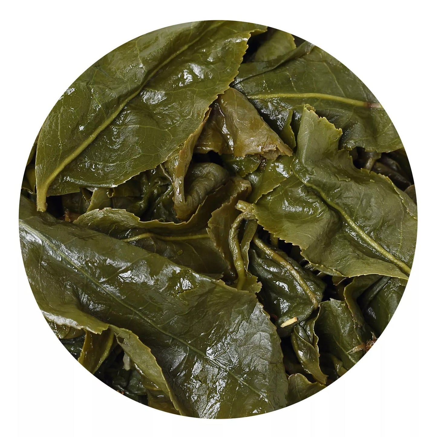 250g Organic Premium Taiwan Milk Oolong Tea Jinxuan Alishan High Mountain Loose
