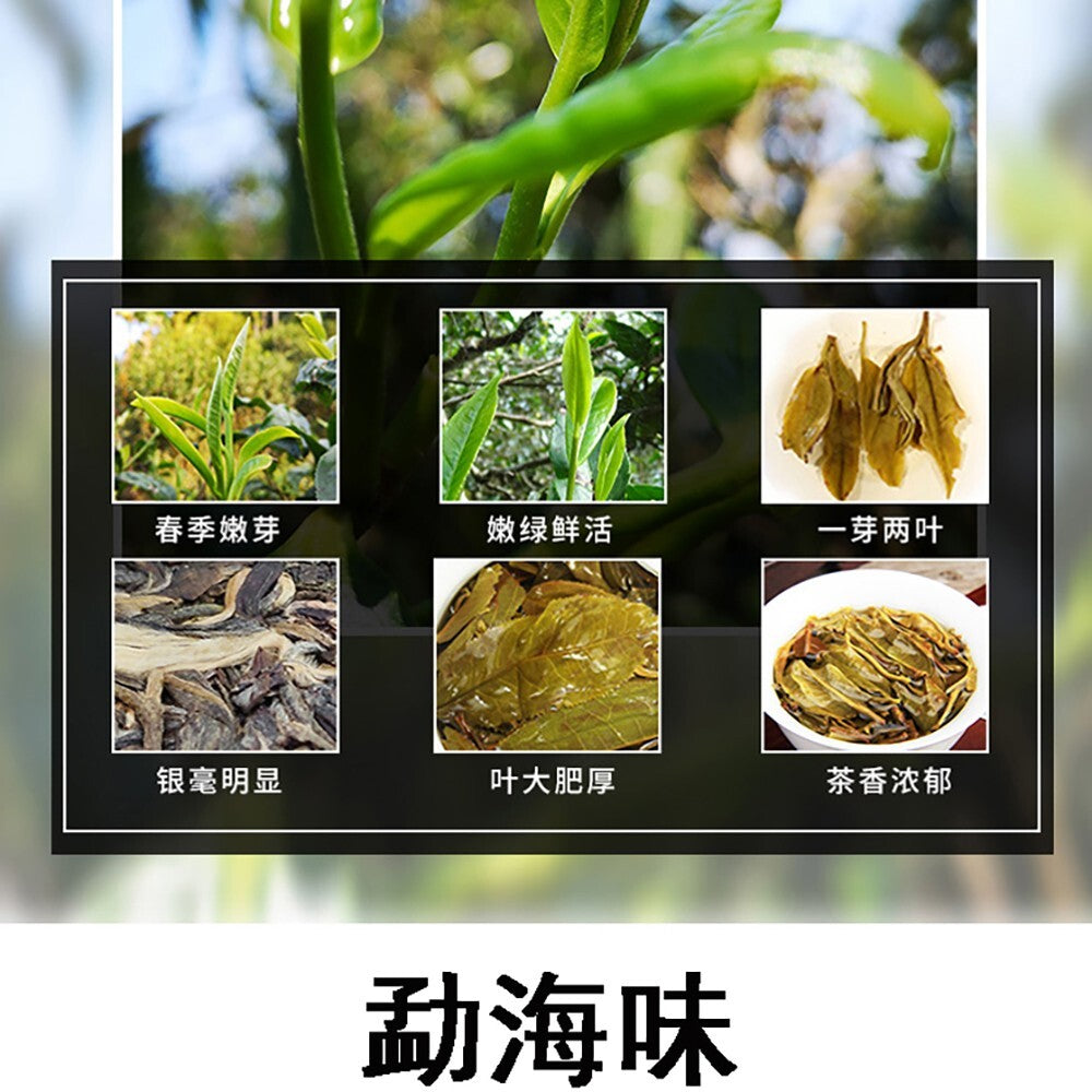 Pu-erh tea,2015,早春茶 early spring tea,357g,Raw
