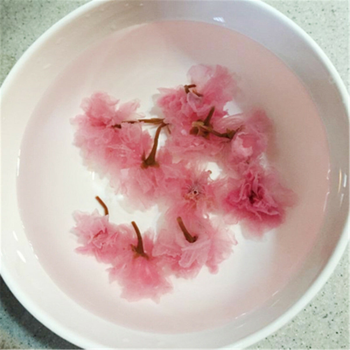 Cherry Blossoms Tea Premium Flower Tea Healthy Drink Japanese Salted Sakura Cha