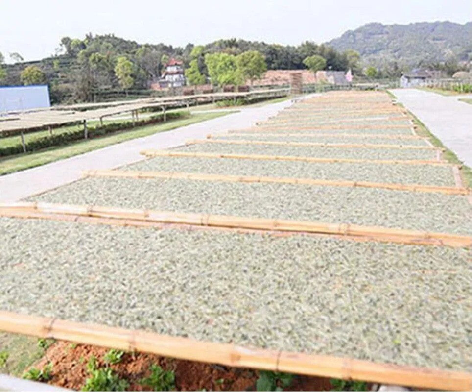 New White Tea Natural Organic Tea Baihaoyinzhen Silver Needle Tea 100g
