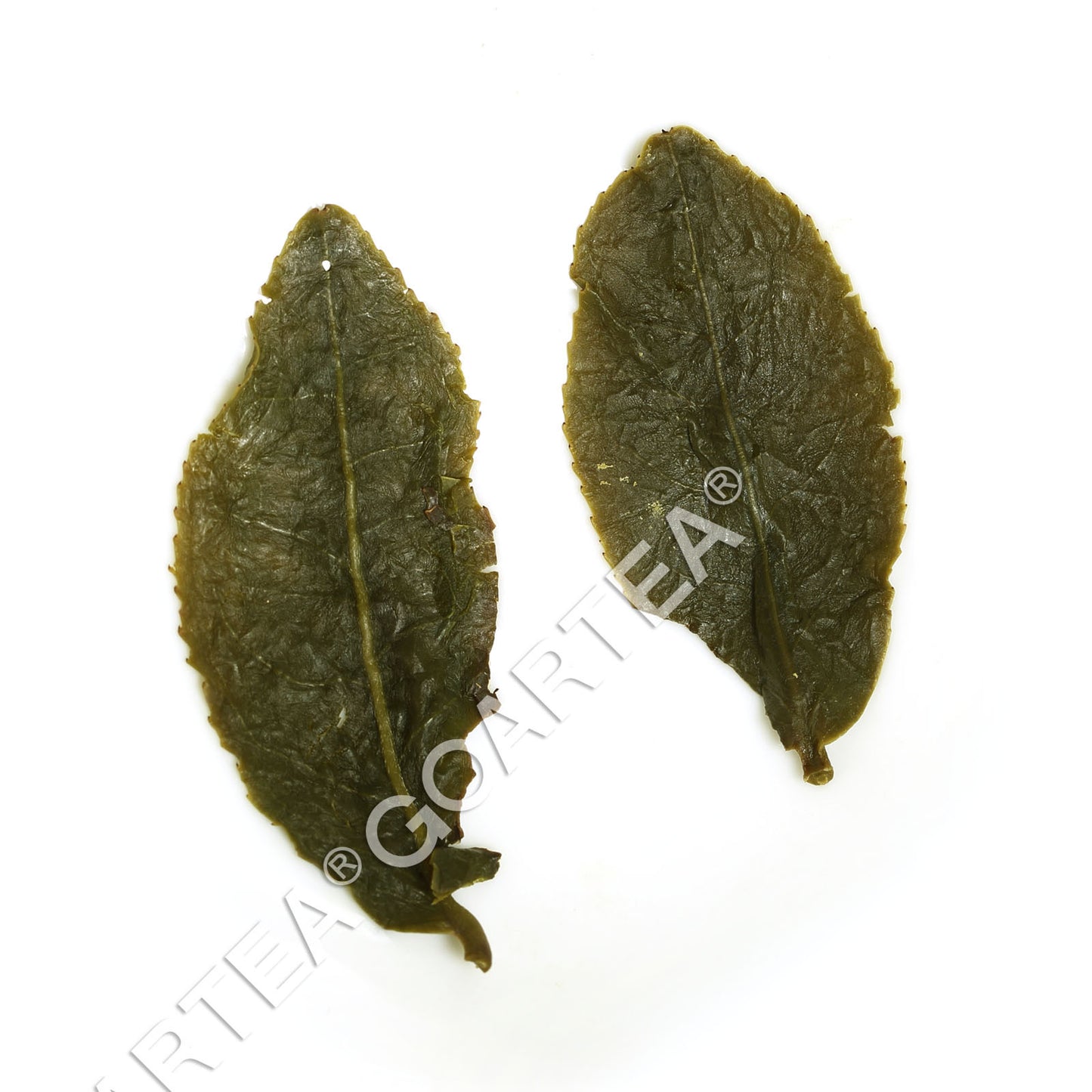 GOARTEA Supreme Taiwan Strong Aroma Dongding Oolong Tea High Mount Tung-ting Tea-