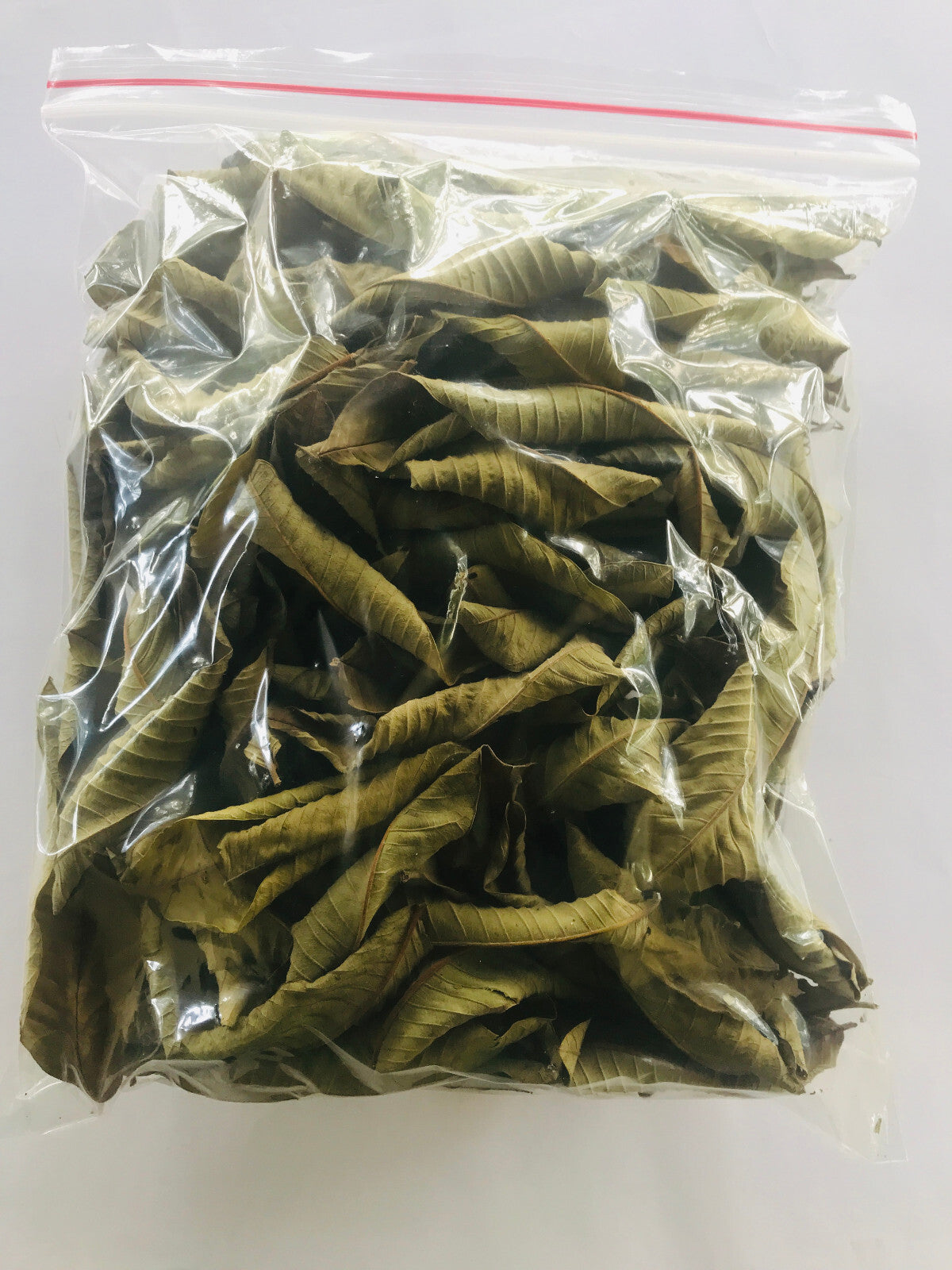 Guayaba Leaf 50 g-500 g Premium Dried Guava Leaves Hojas De