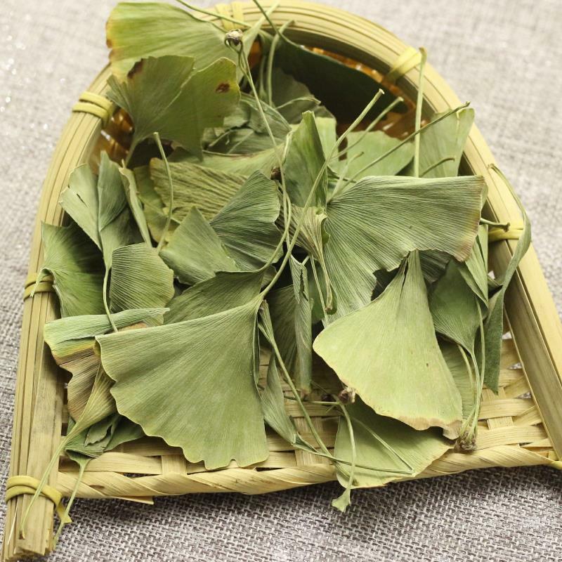 Chinese Ginkgo Tea Ecology Herbal Green Tea Health Care Ginkgo Biloba Leaves Tea