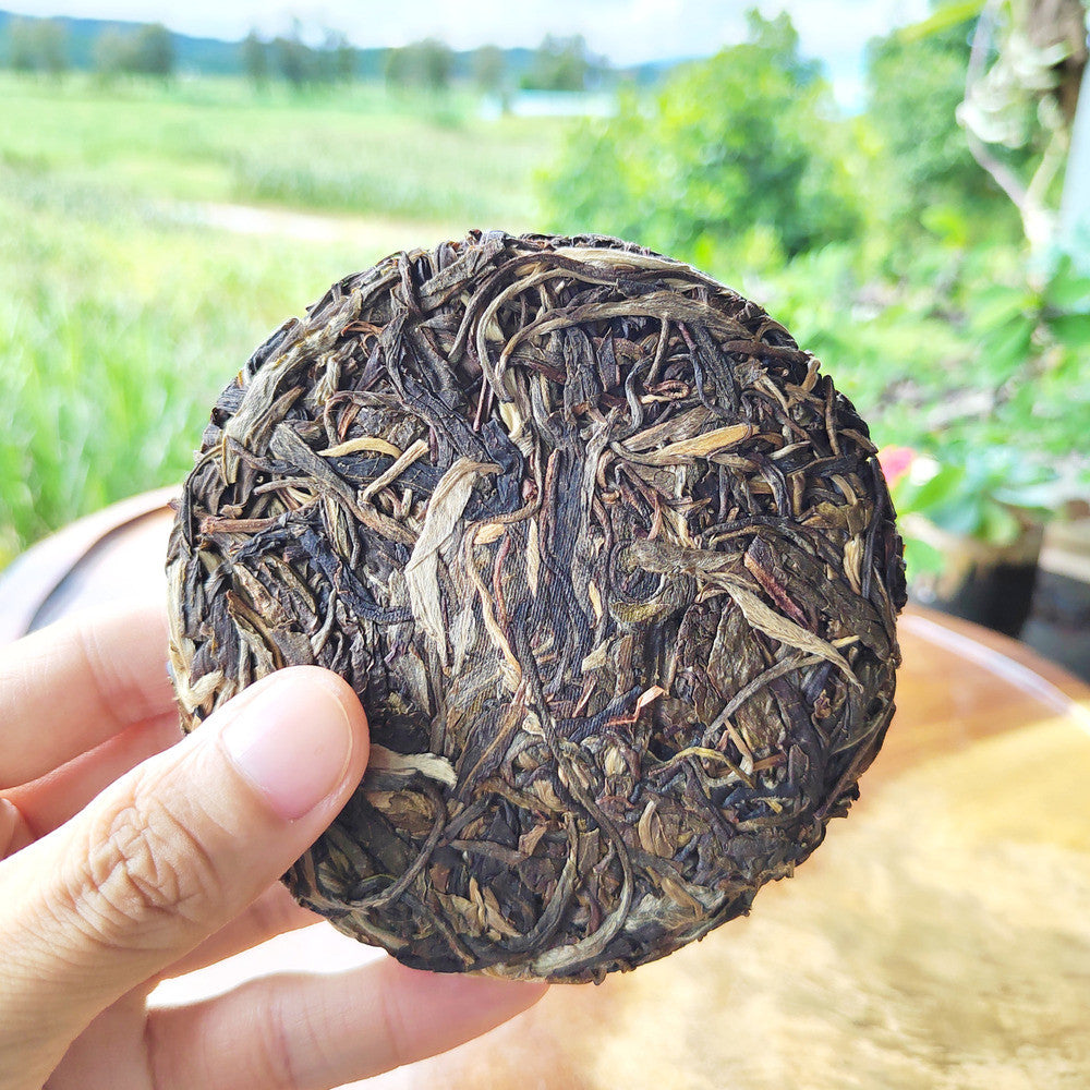 100g Yunnan Pu-erh Tea Cake Raw Puer Tea Organic Chinese Black Tea Healthy Drink