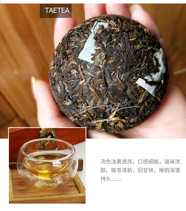 2017 Year TAETEA Classic Raw Pu'er Tea Jia Ji TuoCha Dayi Tea Puer Green 500g