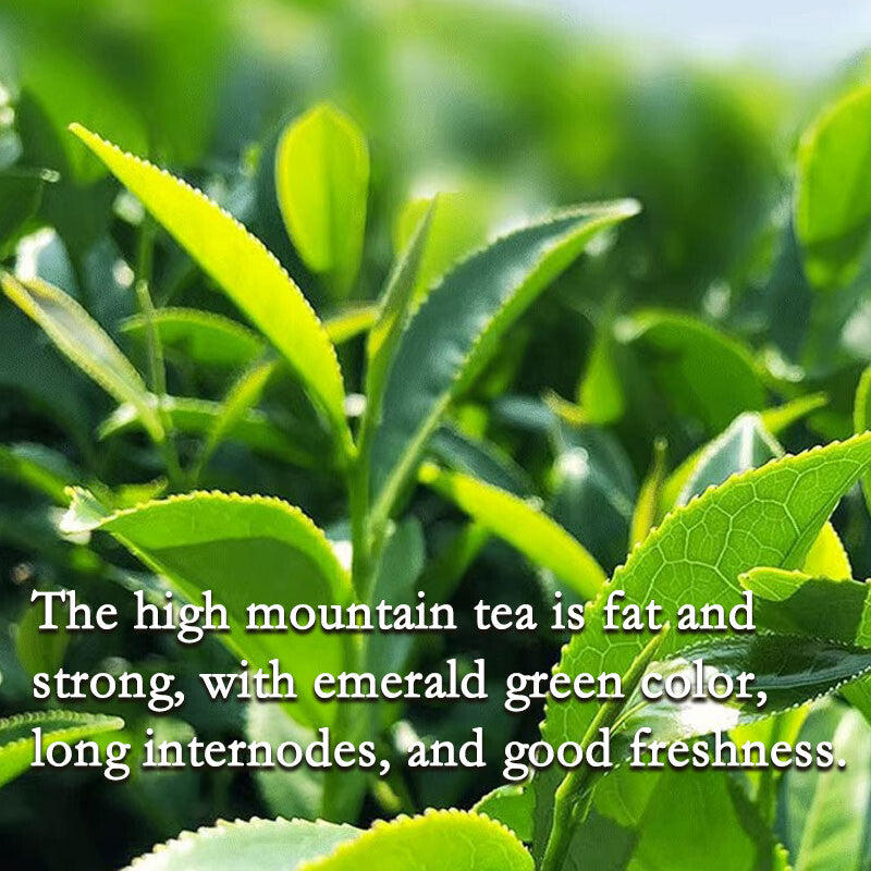 Milk oolong Loose Tea Leaves Oolong Tea 250g/8.8oz