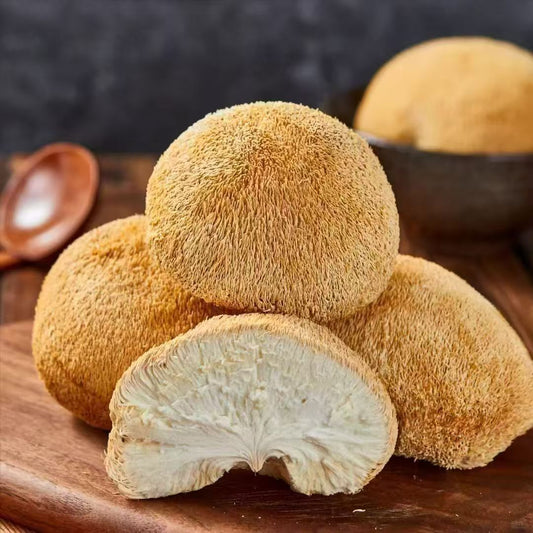 Wild Lion's Mane Mushroom Premium Hericium Erinaceus Very Delicious Top Quality