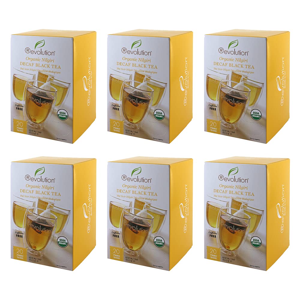 Revolution Tea - Mesh Infuser Full Leaf Tea - Organic Green Tea - 30 Bags
