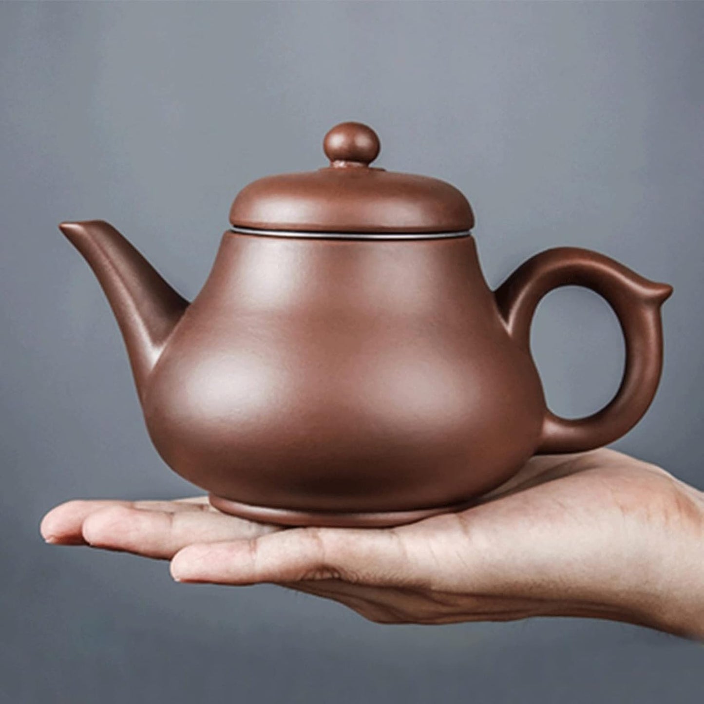 BbteK Teapot with Infuser Zisha Teapot Large Capacity Teapot Single Pot with Built-in Stainless Steel Filter Teapot Teapots