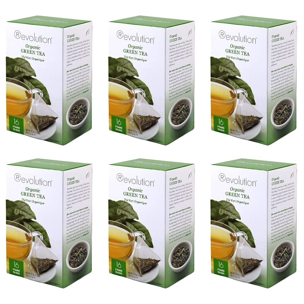 Revolution Tea - Mesh Infuser Full Leaf Tea - Organic Green Tea - 30 Bags