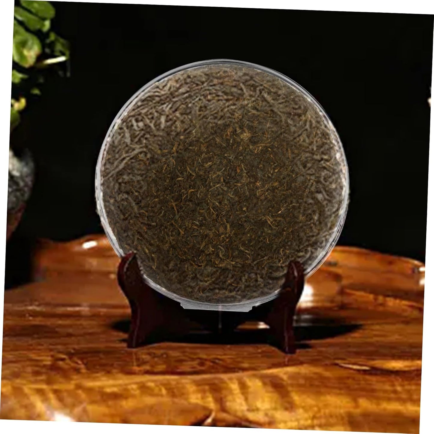 BESTOYARD 1 Set Tea Display Stand Puerh Tea Cake Ripe Display Rack Puerh Tea Cake Rack Puer Tea Saucer Storage Holder Puerh Tea Cake Display Rustic Cutlery Holder Plastic Bread Tea Bag
