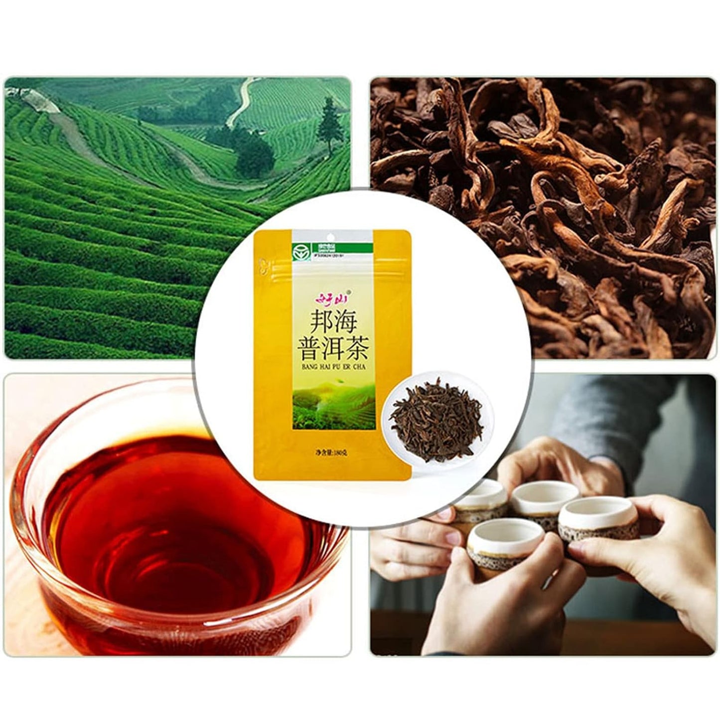 Puerh Tea,Organic Pu'erh Tea Bags,Bang Hai Loose Leaves Yunnan Big Leaves Green Tea,Chinese Tea,6.3oz Puerh Tea Pu erh tea,for Morning Afternoon Party, for Gift Giving