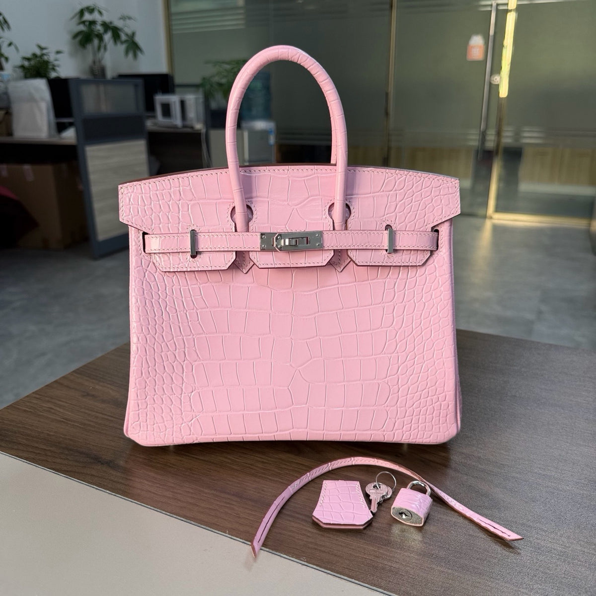 Premium Handcrafted Croc-Embossed Leather Tote Bag for Women, A-Grade Top-Layer Cowhide with Waxed Thread Stitching & Stainless Steel Hardware, Birkin-Inspired 25/30 Top-Handle Purse