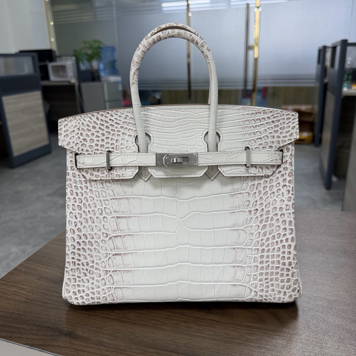 Premium Handcrafted Croc-Embossed Leather Tote Bag for Women, A-Grade Top-Layer Cowhide with Waxed Thread Stitching & Stainless Steel Hardware, Birkin-Inspired 25/30 Top-Handle Purse
