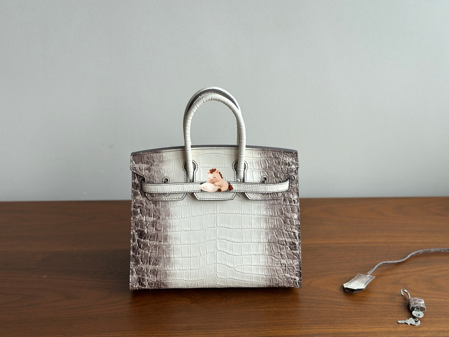 Chic Silver-Tone External Stitching Croc-Embossed Birkin-Inspired Tote Bag for Women, 25cm Stainless Steel Hardware Top-Layer Cowhide Handbag with Premium Quality