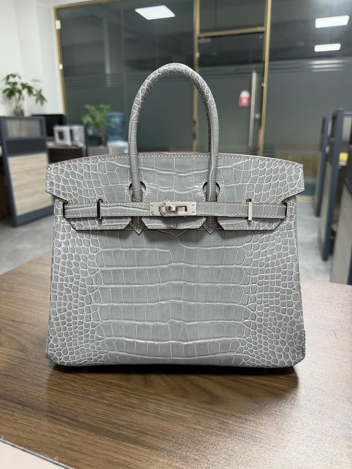 Premium Handcrafted Croc-Embossed Leather Tote Bag for Women, A-Grade Top-Layer Cowhide with Waxed Thread Stitching & Stainless Steel Hardware, Birkin-Inspired 25/30 Top-Handle Purse
