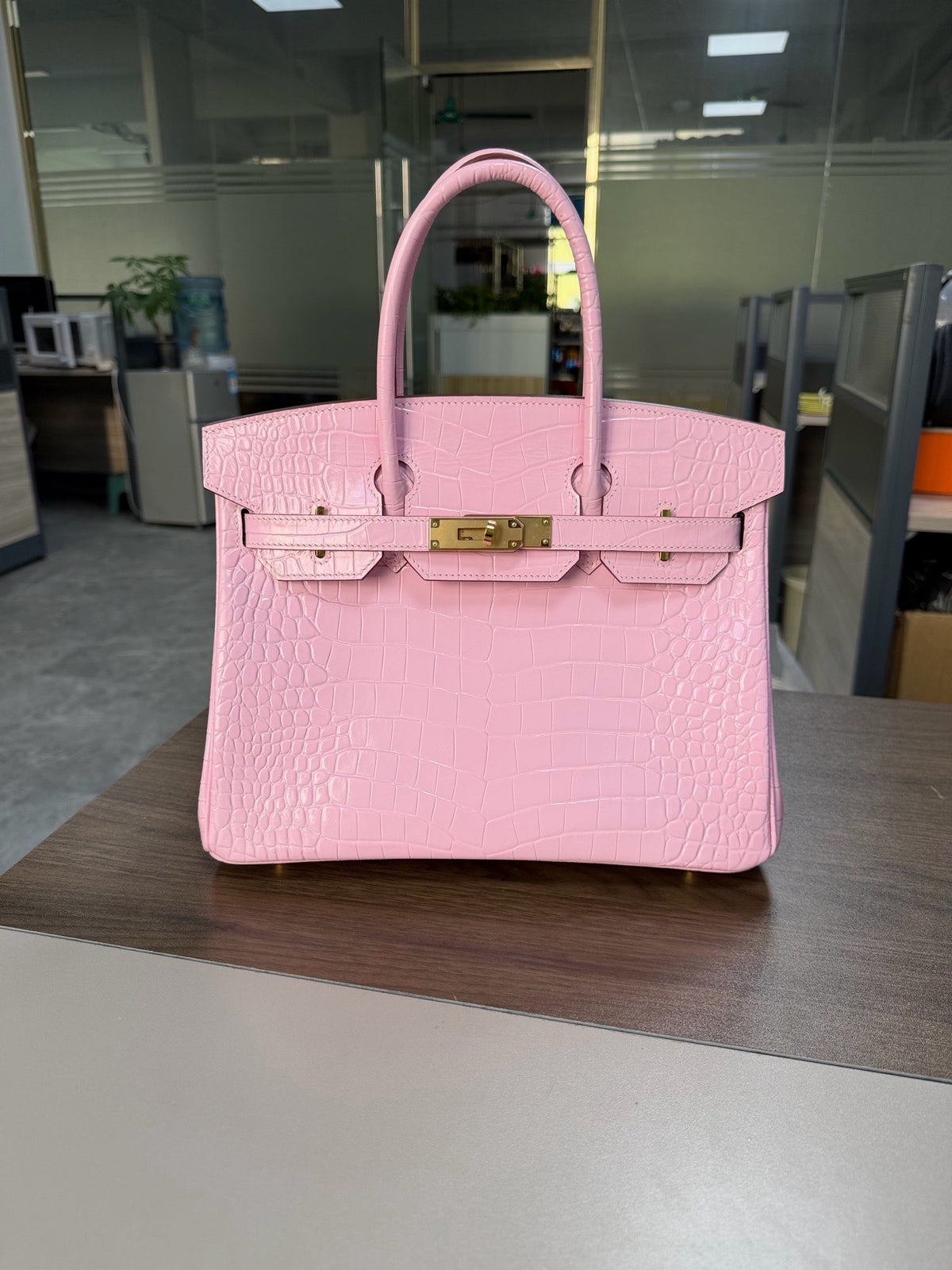 Premium Handcrafted Croc-Embossed Leather Tote Bag for Women, A-Grade Top-Layer Cowhide with Waxed Thread Stitching & Stainless Steel Hardware, Birkin-Inspired 25/30 Top-Handle Purse