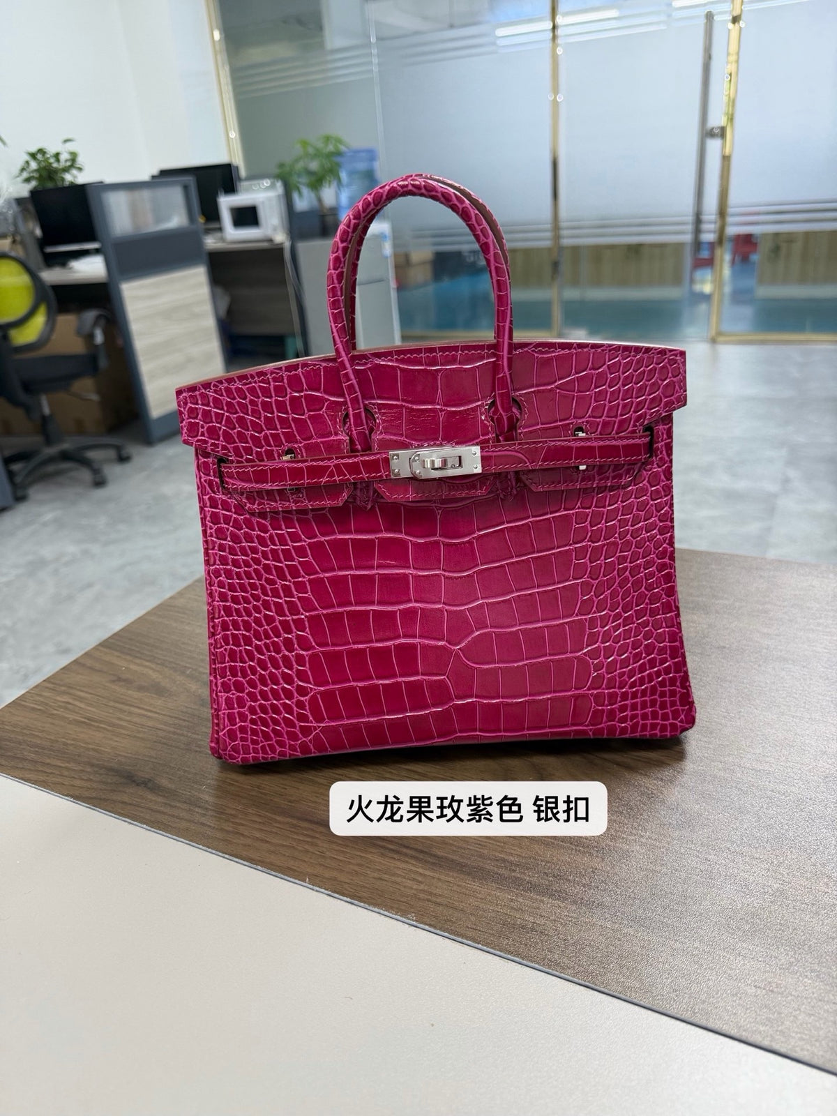 Premium Handcrafted Croc-Embossed Leather Tote Bag for Women, A-Grade Top-Layer Cowhide with Waxed Thread Stitching & Stainless Steel Hardware, Birkin-Inspired 25/30 Top-Handle Purse