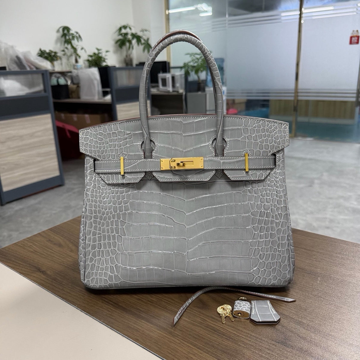 Premium Handcrafted Croc-Embossed Leather Tote Bag for Women, A-Grade Top-Layer Cowhide with Waxed Thread Stitching & Stainless Steel Hardware, Birkin-Inspired 25/30 Top-Handle Purse