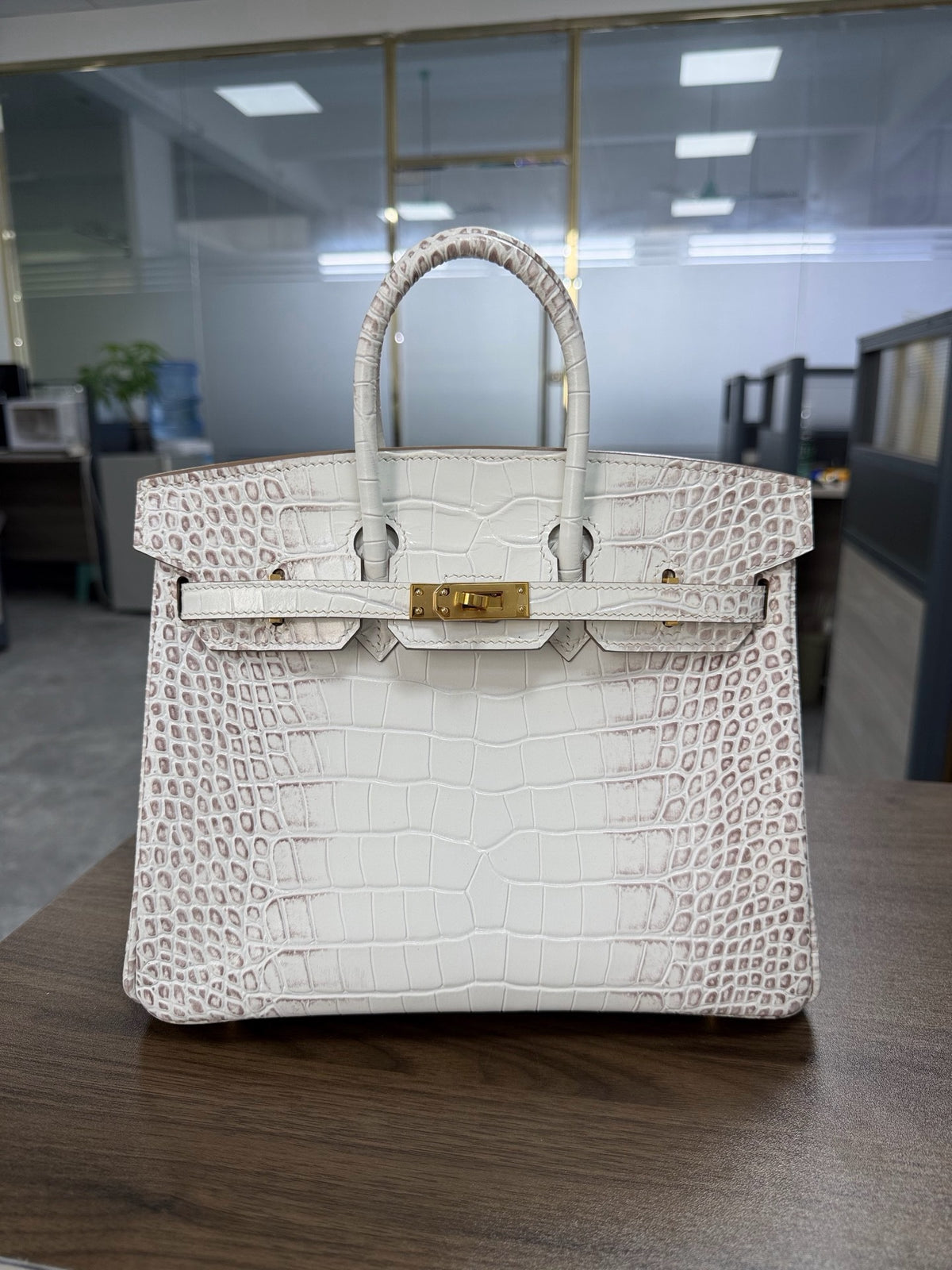 Premium Handcrafted Croc-Embossed Leather Tote Bag for Women, A-Grade Top-Layer Cowhide with Waxed Thread Stitching & Stainless Steel Hardware, Birkin-Inspired 25/30 Top-Handle Purse
