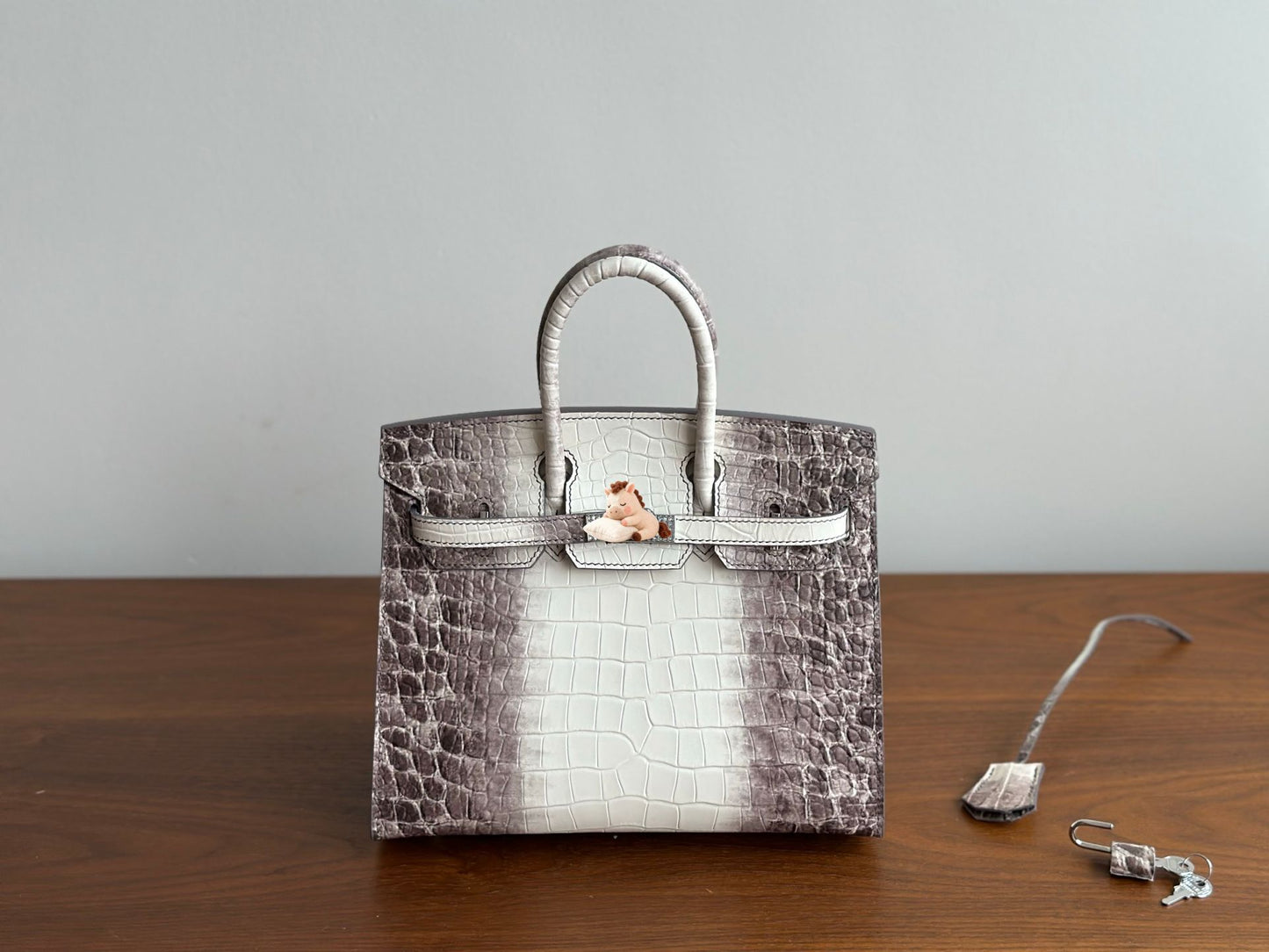 Chic Silver-Tone External Stitching Croc-Embossed Birkin-Inspired Tote Bag for Women, 25cm Stainless Steel Hardware Top-Layer Cowhide Handbag with Premium Quality