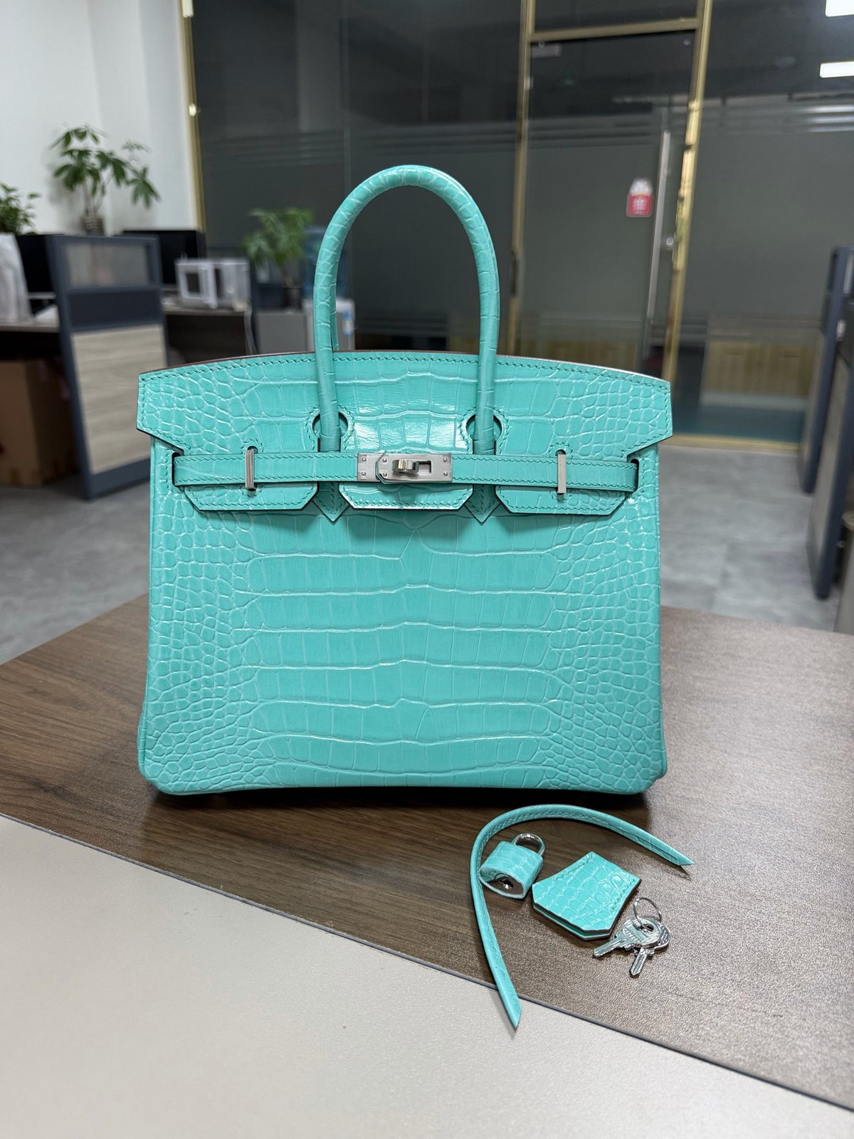 Premium Handcrafted Croc-Embossed Leather Tote Bag for Women, A-Grade Top-Layer Cowhide with Waxed Thread Stitching & Stainless Steel Hardware, Birkin-Inspired 25/30 Top-Handle Purse