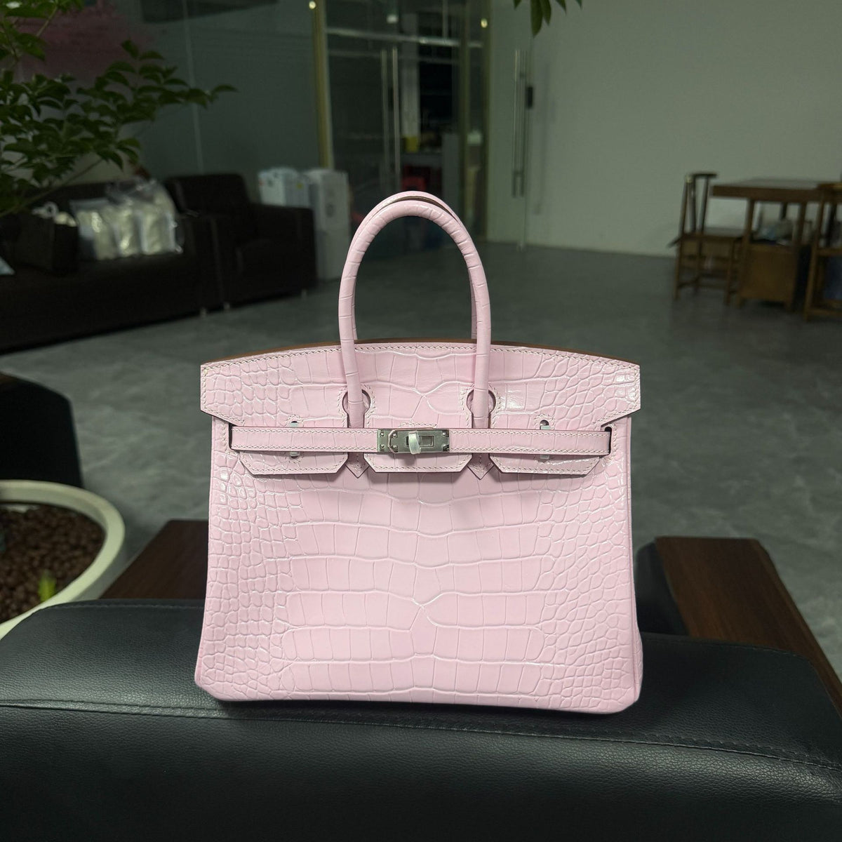 Premium Handcrafted Croc-Embossed Leather Tote Bag for Women, A-Grade Top-Layer Cowhide with Waxed Thread Stitching & Stainless Steel Hardware, Birkin-Inspired 25/30 Top-Handle Purse