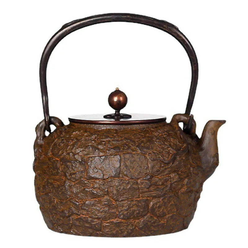 Portable Tea Pot Japanese Iron Teapot for Brewing Tea Vintage Teapots To Boil Water Kung Fu Water Jug Puer Oolong Yixing Teapot