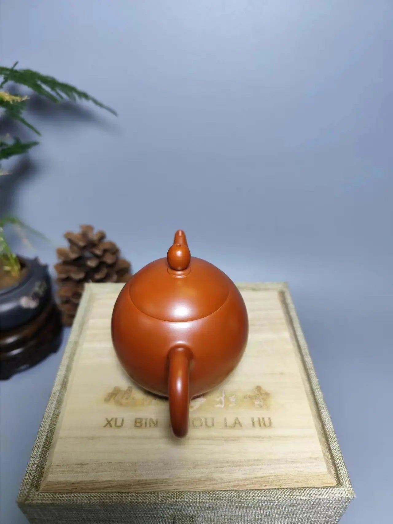 Pure Master Handmade Chaozhou Zhu Ni Teapot For Dancong Tea Pot(Not Yixing Zisha) Kung Fu Tea Set Drinkware Tea Ceremony