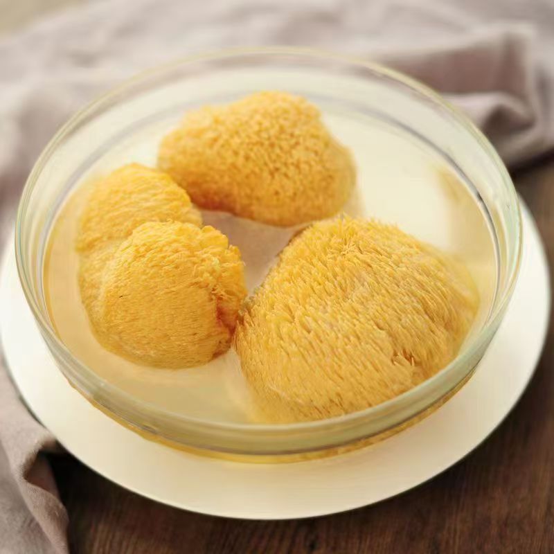Wild Lion's Mane Mushroom Premium Hericium Erinaceus Very Delicious Top Quality