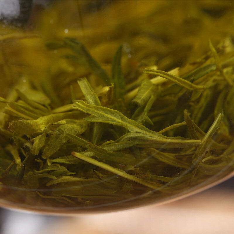 Wormwood Tea Moxa Leaf Tea Handmade Herbal Health Caring Green Tea艾茶艾叶茶艾草茶手工艾叶绿茶