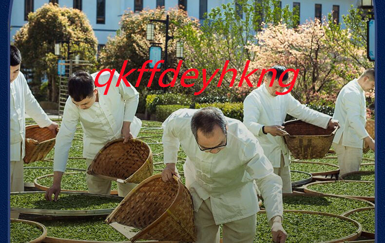 Fuding White Tea 2023 New Tea High Mountain Shou Mei Tea 福鼎白茶2023新茶高山寿眉茶 40g