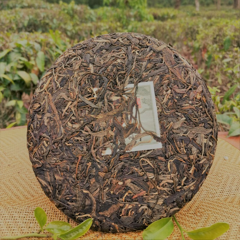 Green Tea Organic Aged Old Tea Cake 357g Original Gaoligong Mountain Pu'er Tea