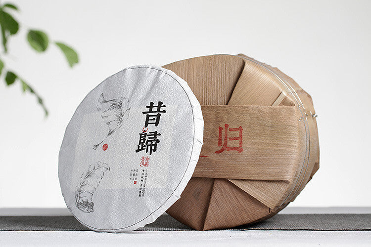 357g Xigui Old Tree Tea Cake Bright Front Spring Tea Yunnan Puerh Tea
