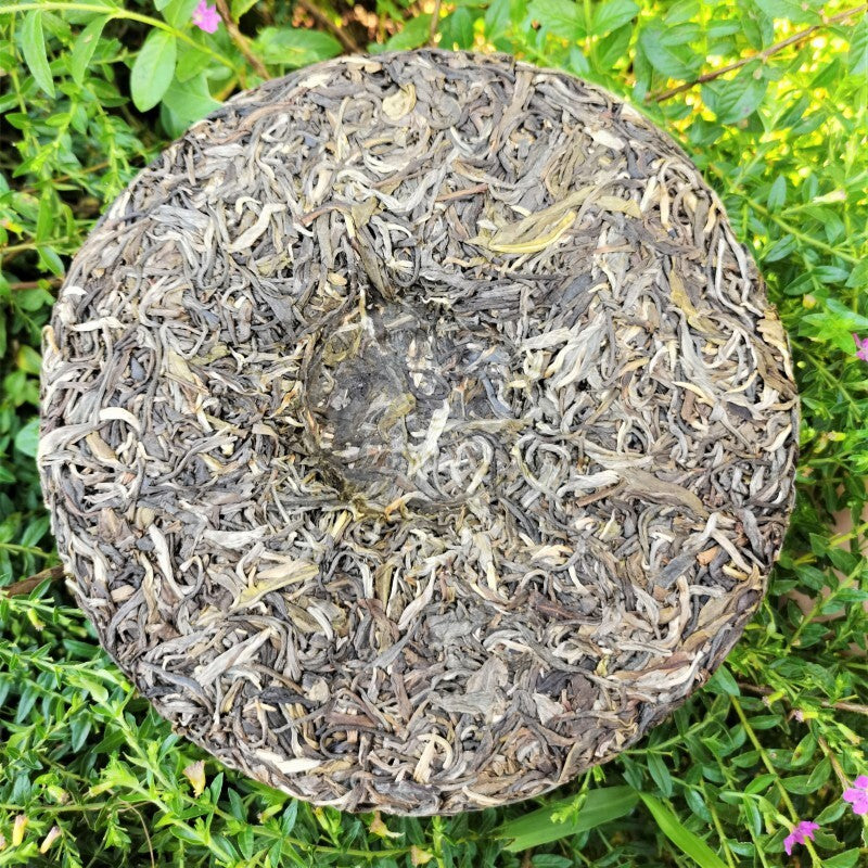 Nannuo Mountain Pu'er Tea Cake Menghai Bama Pu'er Tea Yunnan Arbor Tea Cake