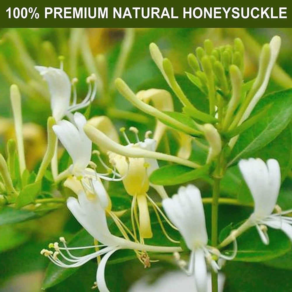 2024 TEARELAE Dried Honeysuckle flower Tea 57g Lonicera Japonica Herbal Tea