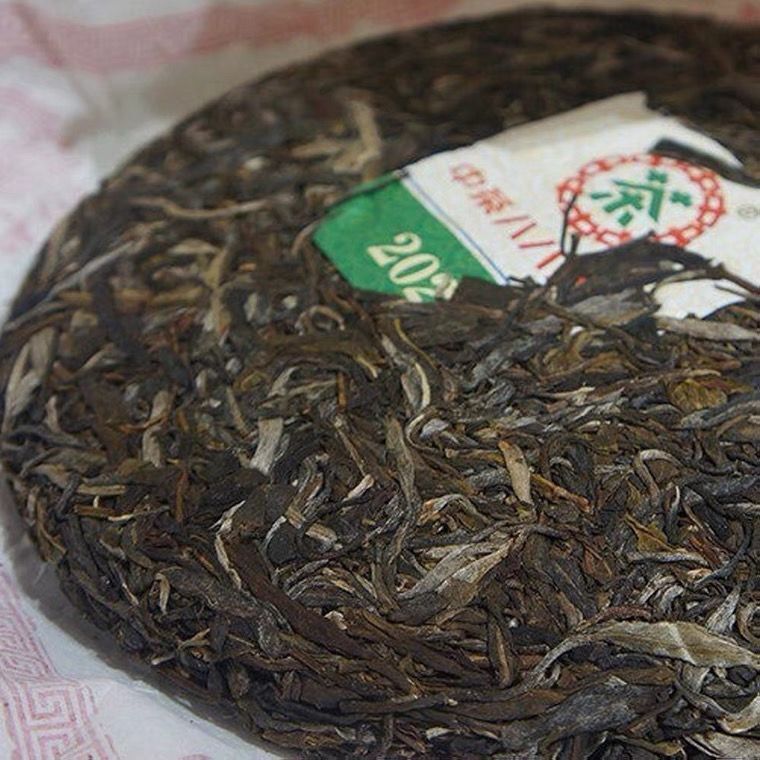 88 Green Cake Banzhang Big Tree ChinaTea Pu'er 2021 Pu-erh Tea Raw Tea 357g