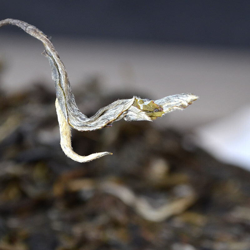 357g Yiwu Cha Tea Ancient Tree Spring Tea Yunnan Pu'er Tea Seven Seed Cake