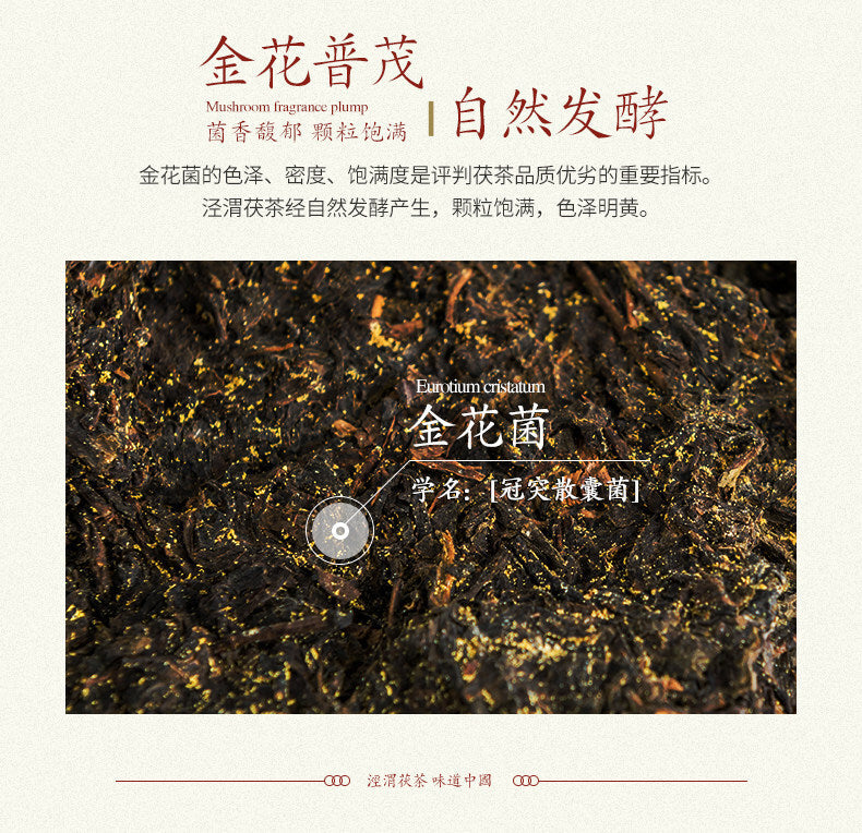 Jingwei Fu Cha Shaanxi Qizi Jinhua Fu Tea Golden Flower Tea Brick 357g Black Tea