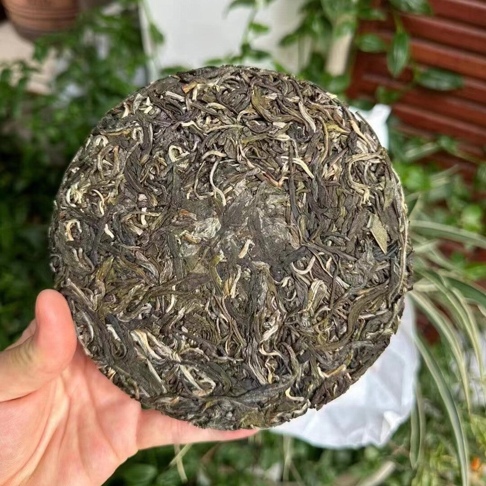1400g Yunnan Raw Puerh Tea Cake 2023 Hua Zhu Liang Zi Sheng Pu-erh Tea Pu'er Tea